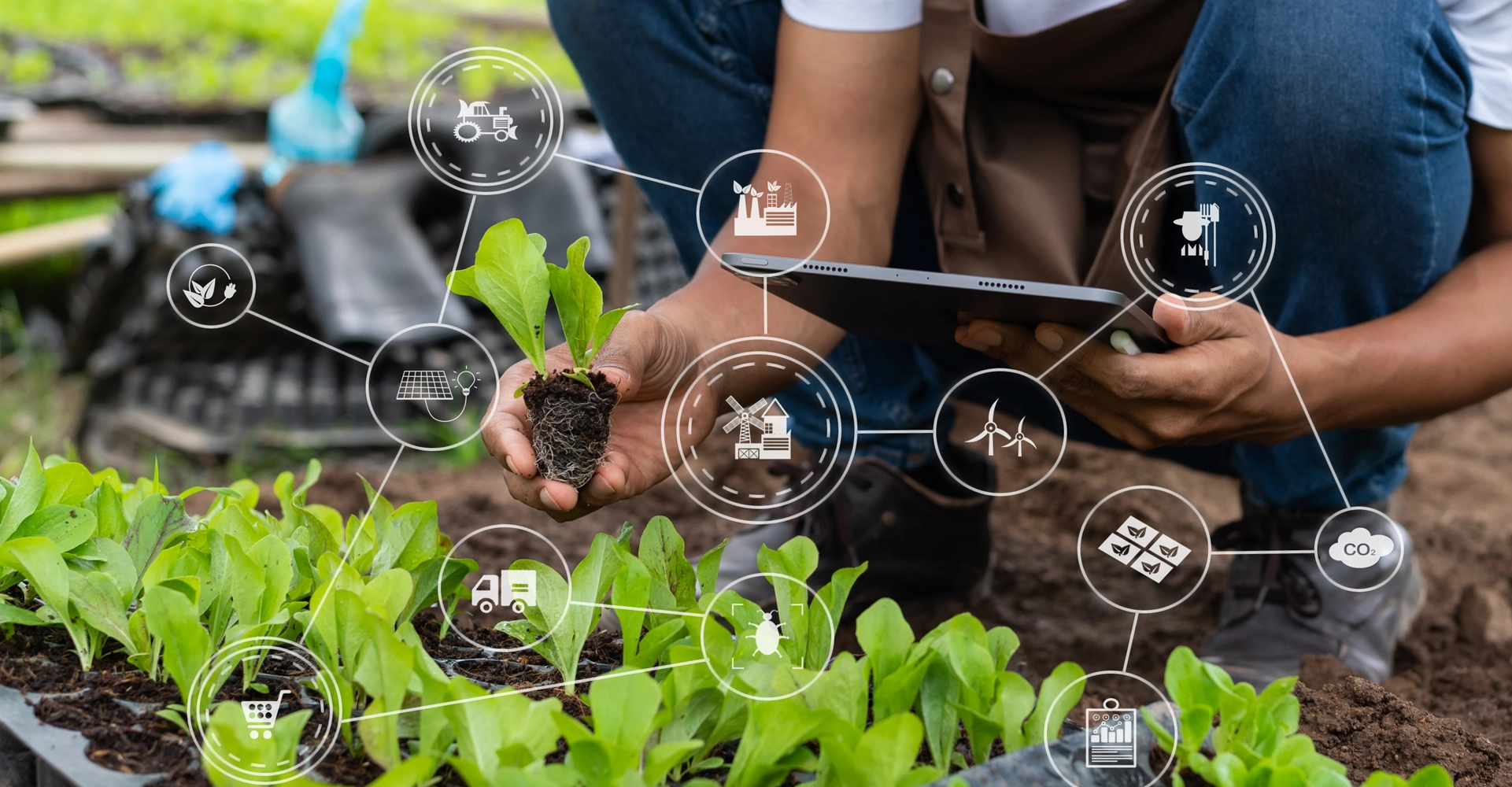 Agriculture: between tradition, innovation, and sustainability